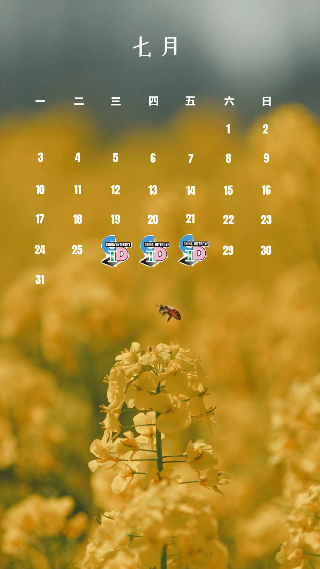 1688823205200897.png 640.png